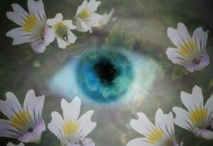 Homeopatická poradna Jany Trávníčkové 
Homeopatika na zánět spojivek
https://www.lecbaodzakladu.cz/homeopatika-na-zanet-spojivek/