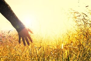 vitamín D účinky homeopatická poradna Jany Trávníčkové